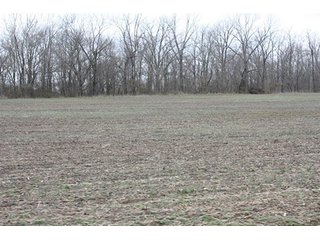 Property photo 8 - 438 +/- Acres Offered in 10 Tracts - Metcalf Farms - 6PM CST